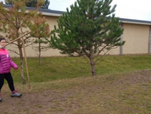 Archeopark pravěku Všestary (2. 11. 2021)