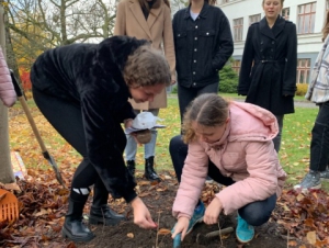 Projekt Krokus (4. 11. 2021)