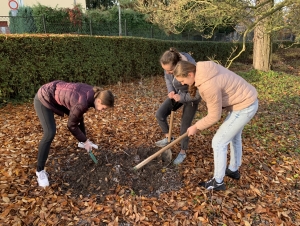 Projekt Krokus