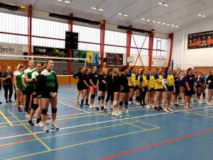 Volejbal SŠ dívky (8. 11. 2023)