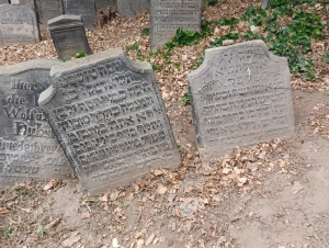 DS Židovský hřbitov