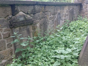 DS Židovský hřbitov